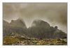27/IMG_0322 kim site 2.jpg